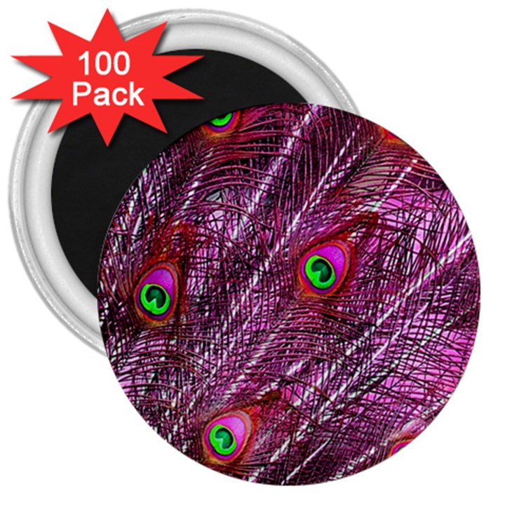 Peacock Feathers Color Plumage 3  Magnets (100 pack)