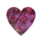 Peacock Feathers Color Plumage Heart Magnet Front