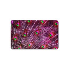 Peacock Feathers Color Plumage Magnet (name Card) by Sapixe