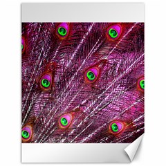 Peacock Feathers Color Plumage Canvas 12  X 16  by Sapixe