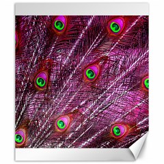 Peacock Feathers Color Plumage Canvas 20  X 24  by Sapixe