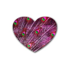 Peacock Feathers Color Plumage Heart Coaster (4 Pack)  by Sapixe