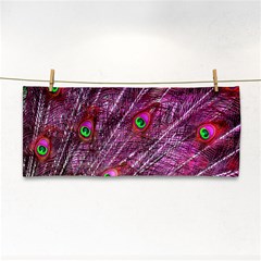 Peacock Feathers Color Plumage Hand Towel by Sapixe