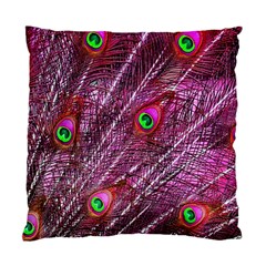 Peacock Feathers Color Plumage Standard Cushion Case (one Side) by Sapixe