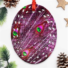 Peacock Feathers Color Plumage Oval Filigree Ornament (two Sides)