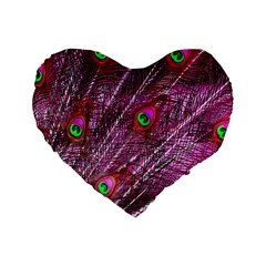 Peacock Feathers Color Plumage Standard 16  Premium Flano Heart Shape Cushions by Sapixe