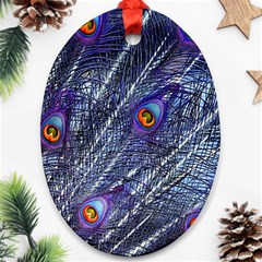 Peacock Feathers Color Plumage Blue Ornament (oval) by Sapixe