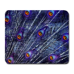 Peacock Feathers Color Plumage Blue Large Mousepads by Sapixe