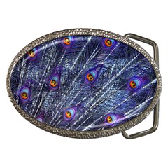 Peacock Feathers Color Plumage Blue Belt Buckles by Sapixe