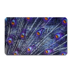 Peacock Feathers Color Plumage Blue Magnet (rectangular) by Sapixe