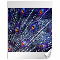 Peacock Feathers Color Plumage Blue Canvas 18  X 24  by Sapixe