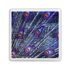 Peacock Feathers Color Plumage Blue Memory Card Reader (square) by Sapixe