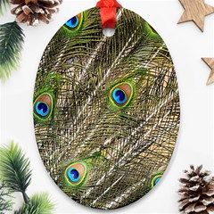 Peacock Feathers Color Plumage Green Ornament (oval) by Sapixe