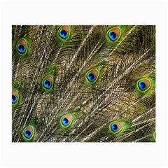 Peacock Feathers Color Plumage Green Small Glasses Cloth (2 Sides) by Sapixe