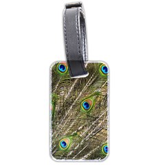 Peacock Feathers Color Plumage Green Luggage Tag (two Sides) by Sapixe