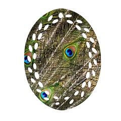 Peacock Feathers Color Plumage Green Oval Filigree Ornament (two Sides) by Sapixe