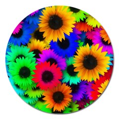 Colorful sunflowers                                                   Magnet 5  (Round)