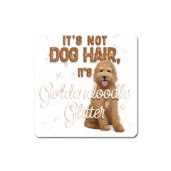 Golden Doodle Apparel Square Magnet by goldendoodle