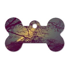 Tour Eiffel Paris Photo Dog Tag Bone (two Sides) by kcreatif