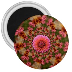 Arrangement Blossom Bloom 3  Magnets by Wegoenart