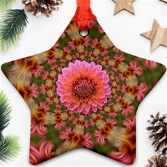 Arrangement Blossom Bloom Ornament (star) by Wegoenart