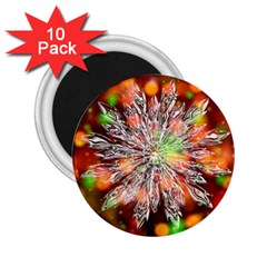 Ice Crystal Crystal Snowflake Bokeh 2 25  Magnets (10 Pack)  by Wegoenart