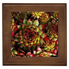 Plant Succulents Succulent Framed Tile by Wegoenart