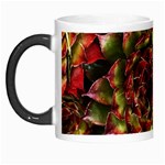 Plant Succulents Succulent Morph Mugs Left