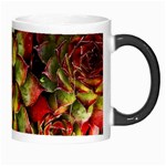 Plant Succulents Succulent Morph Mugs Right