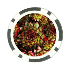 Plant Succulents Succulent Poker Chip Card Guard by Wegoenart