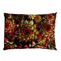 Plant Succulents Succulent Pillow Case by Wegoenart