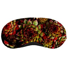 Plant Succulents Succulent Sleeping Mask by Wegoenart