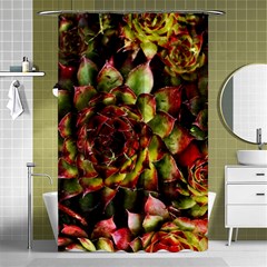 Plant Succulents Succulent Shower Curtain 48  X 72  (small)  by Wegoenart