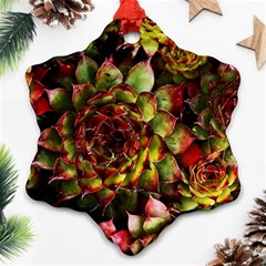 Plant Succulents Succulent Snowflake Ornament (two Sides) by Wegoenart