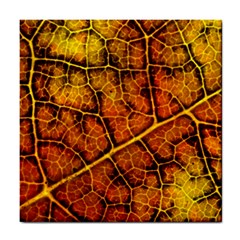 Autumn Leaves Forest Fall Color Tile Coaster by Wegoenart