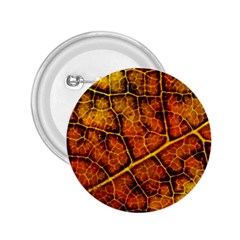 Autumn Leaves Forest Fall Color 2 25  Buttons by Wegoenart