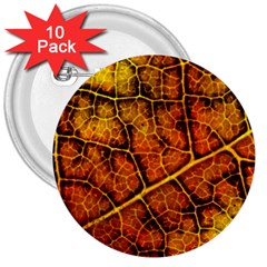 Autumn Leaves Forest Fall Color 3  Buttons (10 Pack)  by Wegoenart