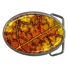 Autumn Leaves Forest Fall Color Belt Buckles by Wegoenart