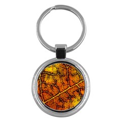 Autumn Leaves Forest Fall Color Key Chain (round) by Wegoenart