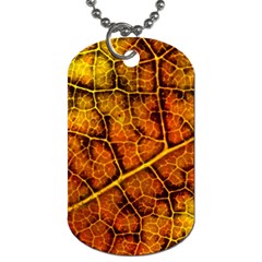 Autumn Leaves Forest Fall Color Dog Tag (two Sides) by Wegoenart