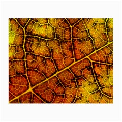 Autumn Leaves Forest Fall Color Small Glasses Cloth (2 Sides) by Wegoenart