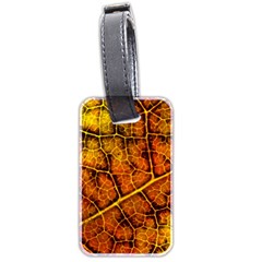 Autumn Leaves Forest Fall Color Luggage Tag (two Sides) by Wegoenart