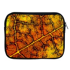 Autumn Leaves Forest Fall Color Apple Ipad 2/3/4 Zipper Cases by Wegoenart