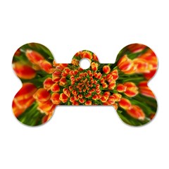 Tulips Arrangement Many Blossom Dog Tag Bone (two Sides) by Wegoenart