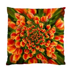 Tulips Arrangement Many Blossom Standard Cushion Case (one Side) by Wegoenart