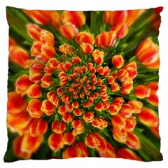 Tulips Arrangement Many Blossom Large Flano Cushion Case (one Side) by Wegoenart