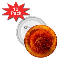 Abstract Dahlia Orange Autumn 1 75  Buttons (10 Pack) by Wegoenart