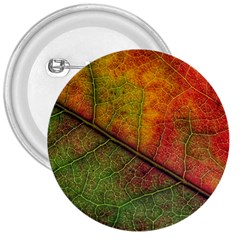 Fall Foliage Color Leaf Veins 3  Buttons by Wegoenart