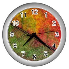 Fall Foliage Color Leaf Veins Wall Clock (silver)