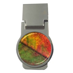 Fall Foliage Color Leaf Veins Money Clips (round)  by Wegoenart